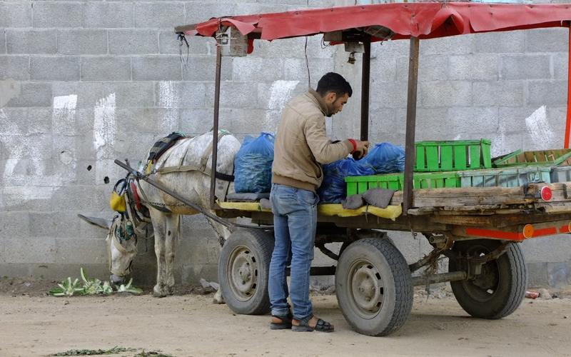 بالصور: سوق للدلالة يبصر النور في البريج