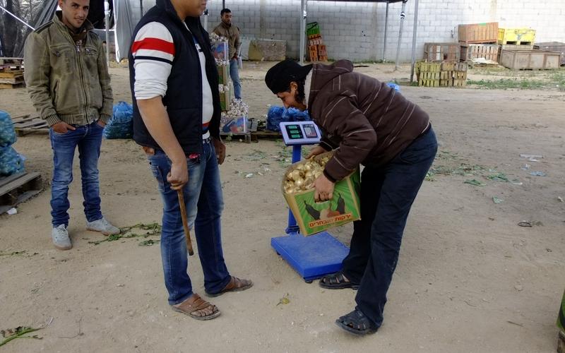بالصور: سوق للدلالة يبصر النور في البريج
