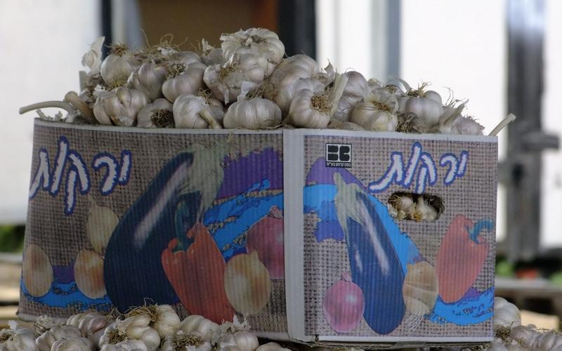 بالصور: سوق للدلالة يبصر النور في البريج