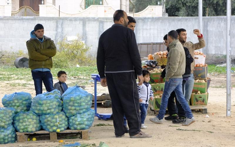 بالصور: سوق للدلالة يبصر النور في البريج