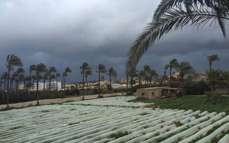 صور: آثار  منخفض "هدى" وسط القطاع