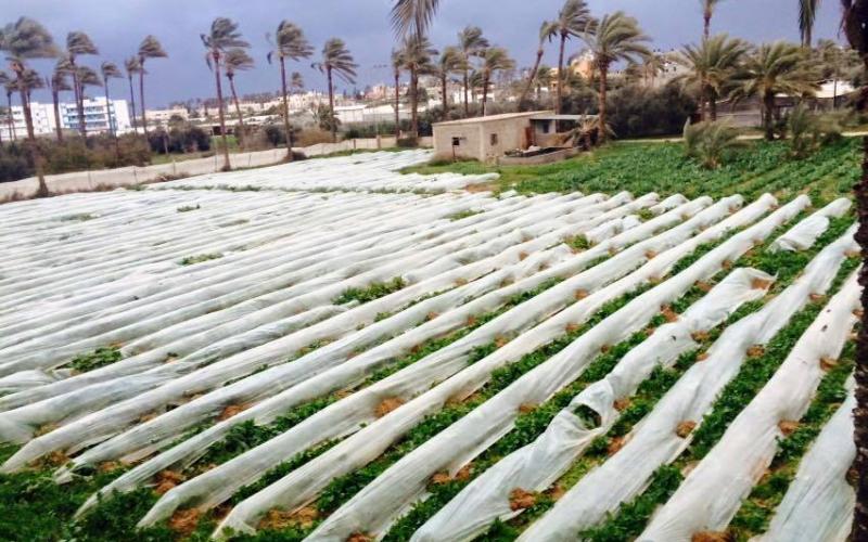 صور: آثار  منخفض "هدى" وسط القطاع