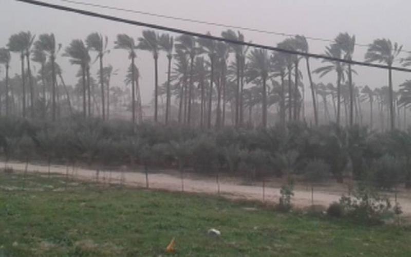 صور: آثار  منخفض "هدى" وسط القطاع