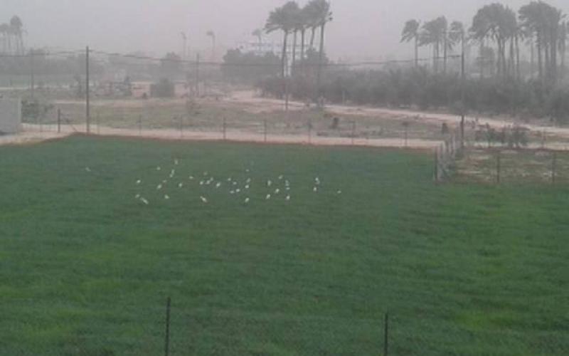 صور: آثار  منخفض "هدى" وسط القطاع