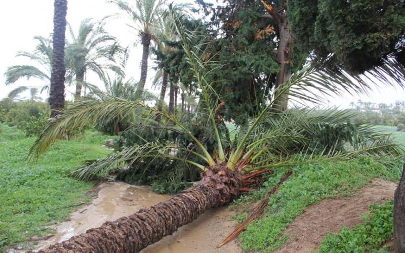 صور: آثار المنخفض في المحافظة الوسطى
