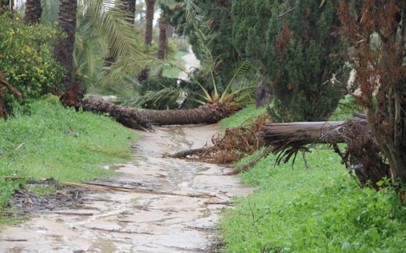 صور: آثار المنخفض في المحافظة الوسطى