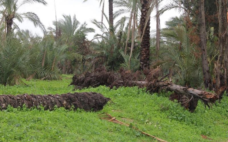 صور: آثار المنخفض في المحافظة الوسطى