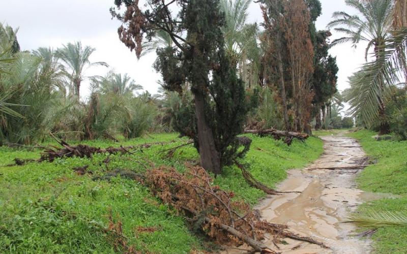 صور: آثار المنخفض في المحافظة الوسطى