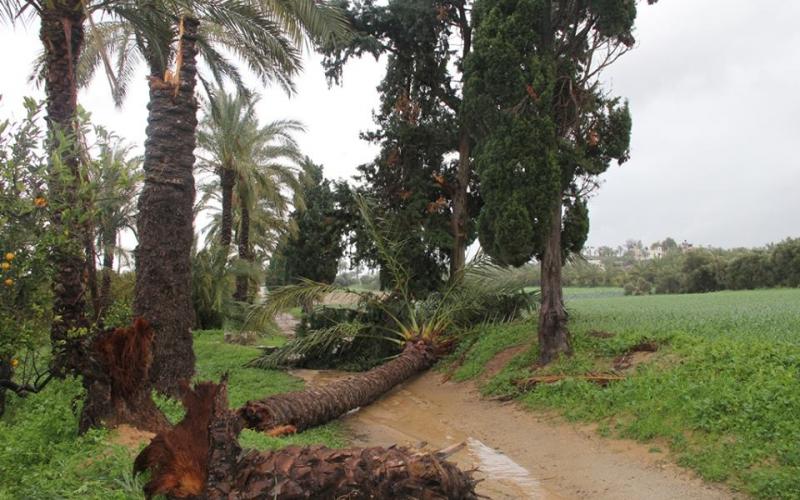 صور: آثار المنخفض في المحافظة الوسطى