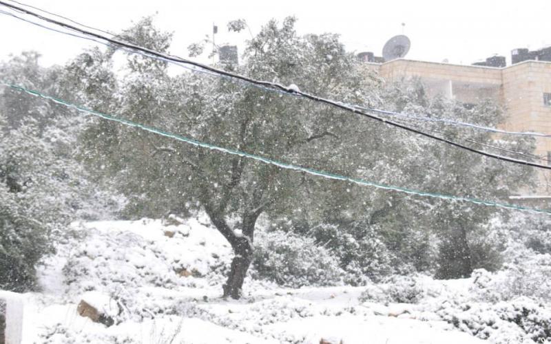 صور: الثلوج تكتسي رام الله