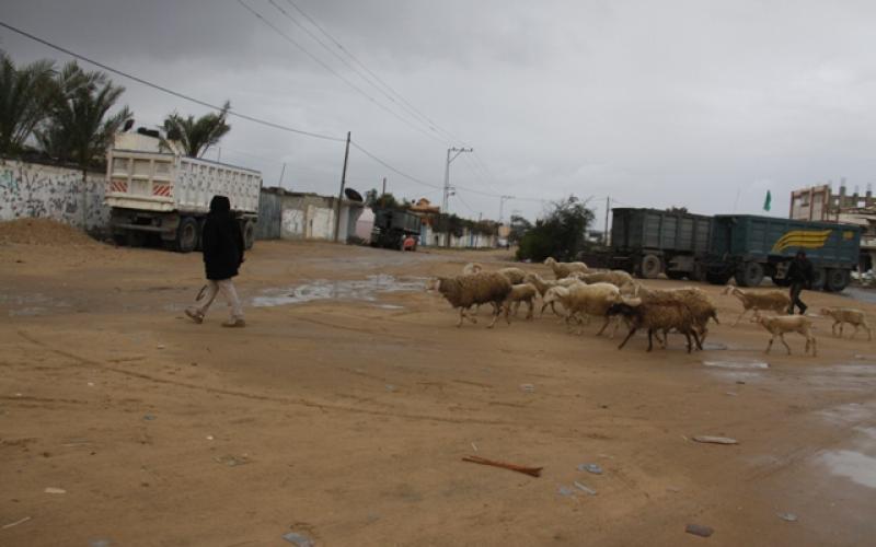 صور: سقوط الأمطار في رفح