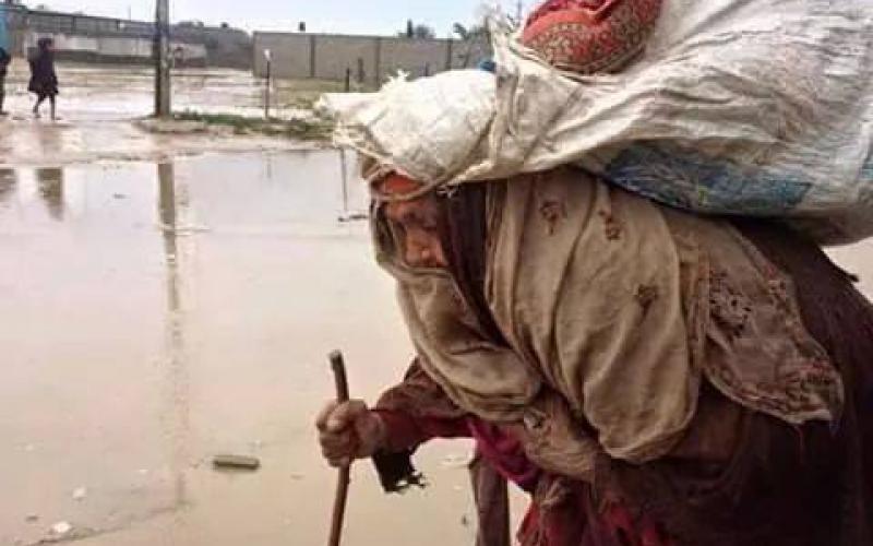 صور: "وادي غزة" يغرق منازل المواطنين