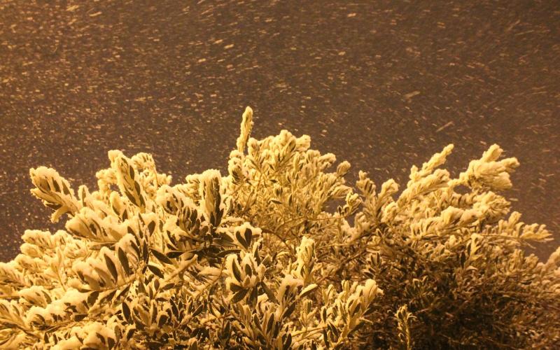 صور: "الأقصى" يكتسي بحلة جديدة من الثلج
