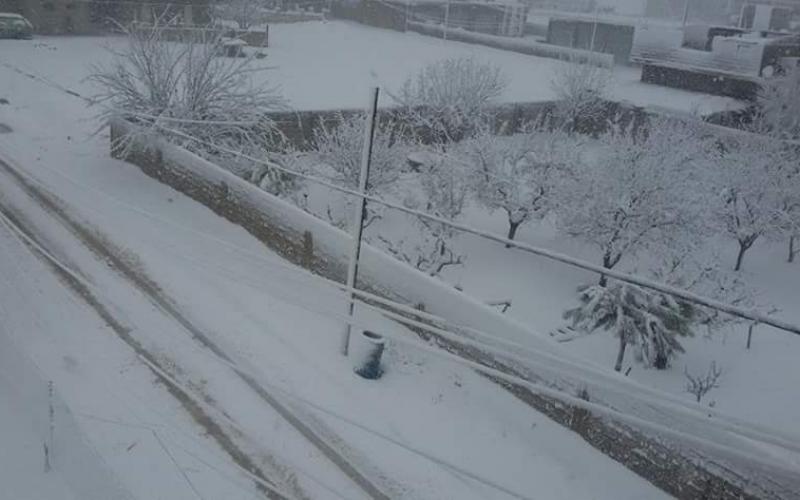 صور: مخيمات لبنان في عين العاصفة