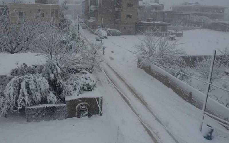 صور: مخيمات لبنان في عين العاصفة