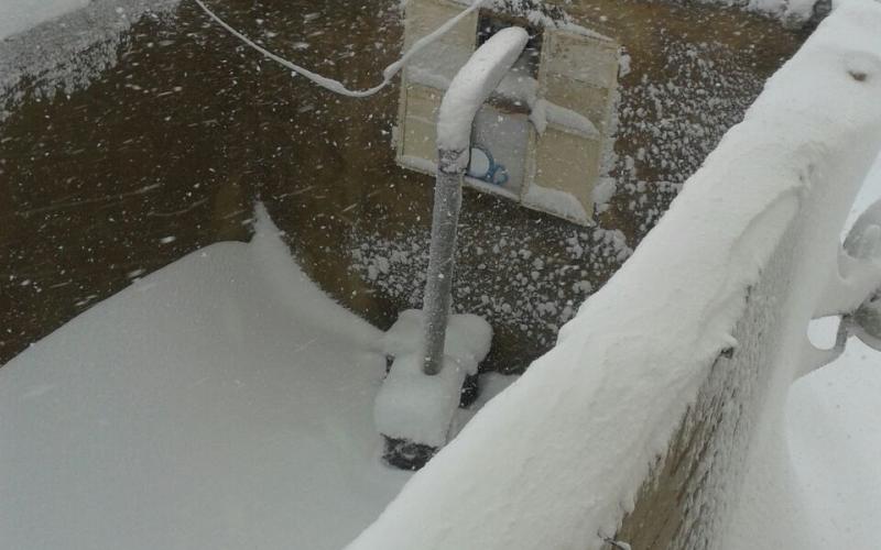 صور: مخيمات لبنان في عين العاصفة
