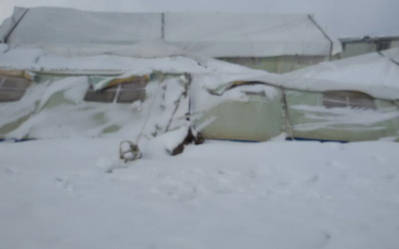 صور: مخيمات لبنان في عين العاصفة