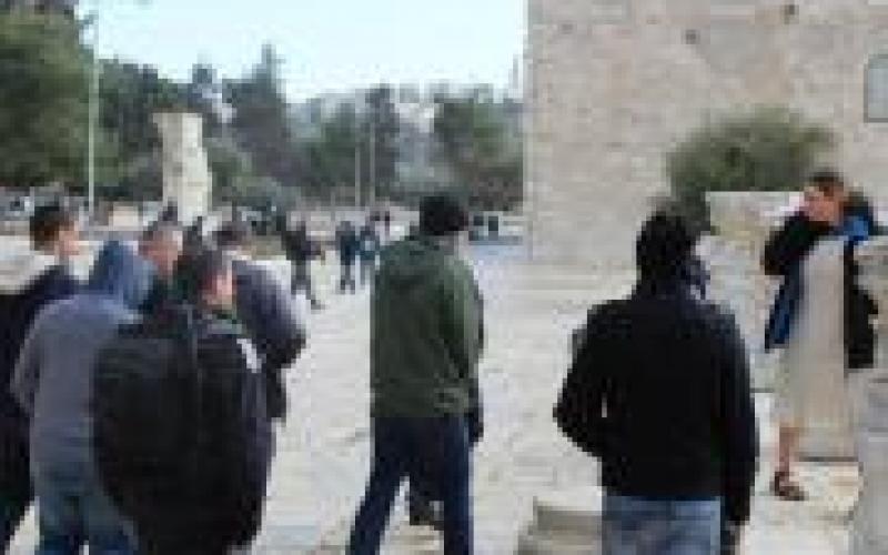 صور: مستوطنون يقتحمون المسجد الأقصى