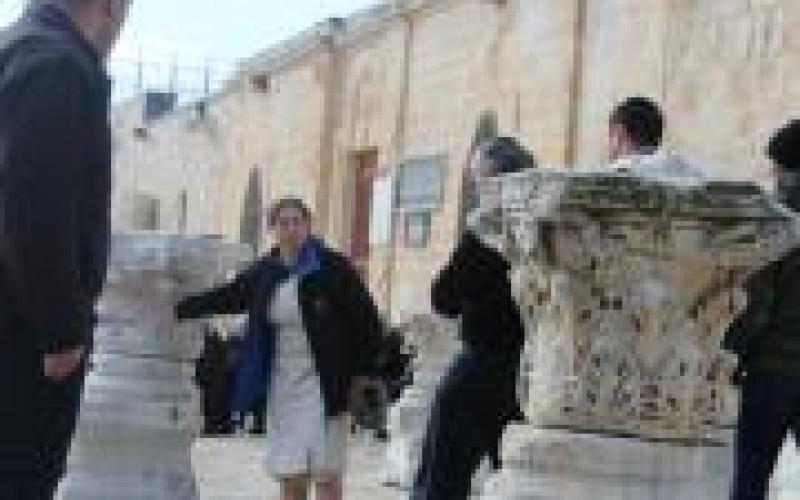 صور: مستوطنون يقتحمون المسجد الأقصى