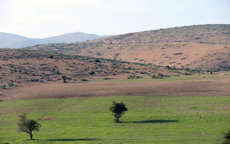 صور: الأغوار - مشاهد من عين المالح