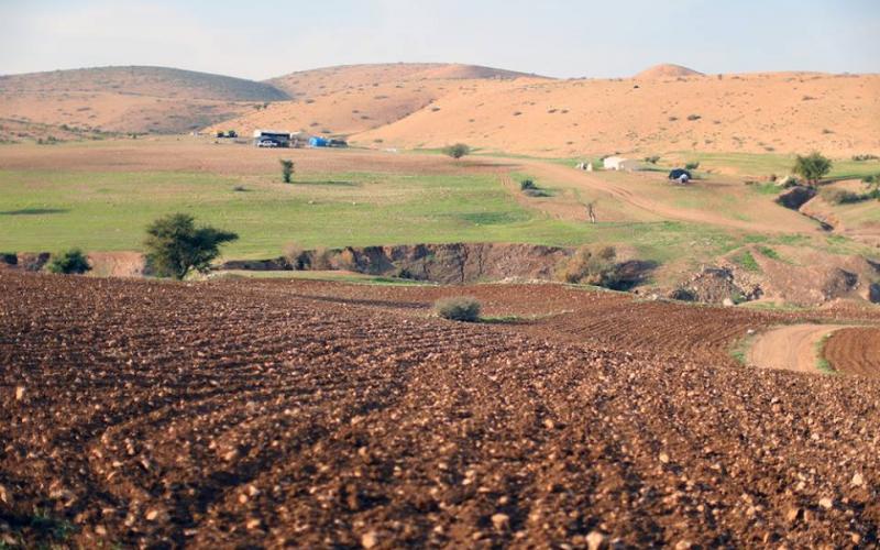 صور: الأغوار - مشاهد من عين المالح