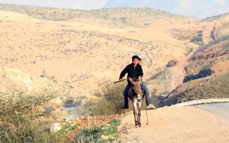 صور: الأغوار - مشاهد من عين المالح