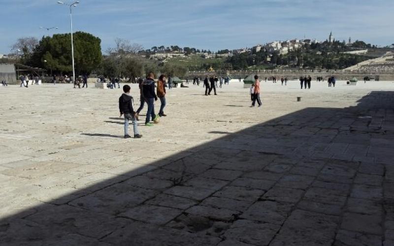 صور: جولة في باحات المسجد الأقصى