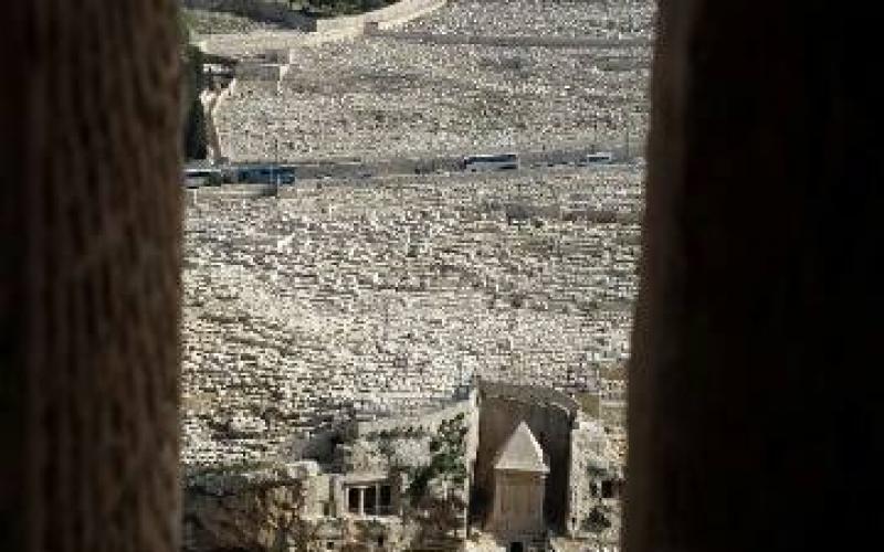 صور: جولة في باحات المسجد الأقصى