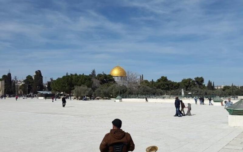 صور: جولة في باحات المسجد الأقصى