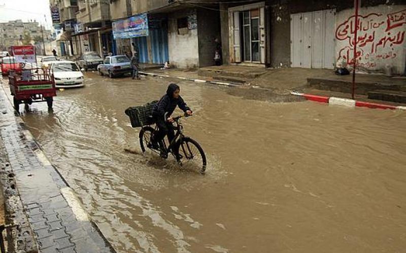 بالصور.. أمطار الخير تهطل على غزة بغزارة