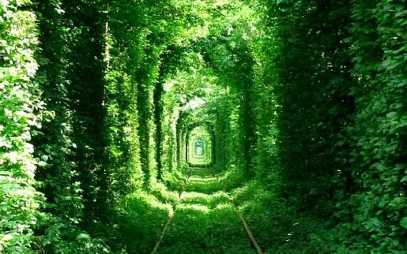 صور.. هل شاهدت "نفق الحب" في أوكرانيا
