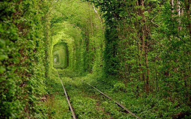 صور.. هل شاهدت "نفق الحب" في أوكرانيا