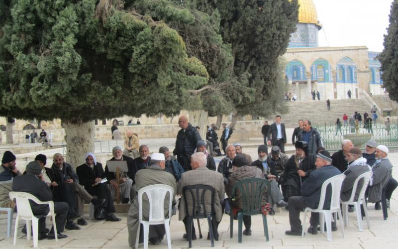 بالصور.. "فيجلين" والمجندات يدنسون الأقصى