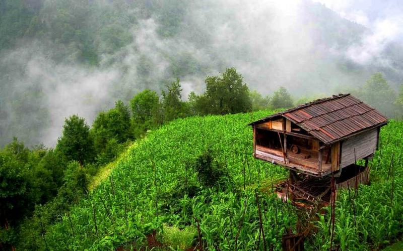 صور.. جولة سياحية في تركيا