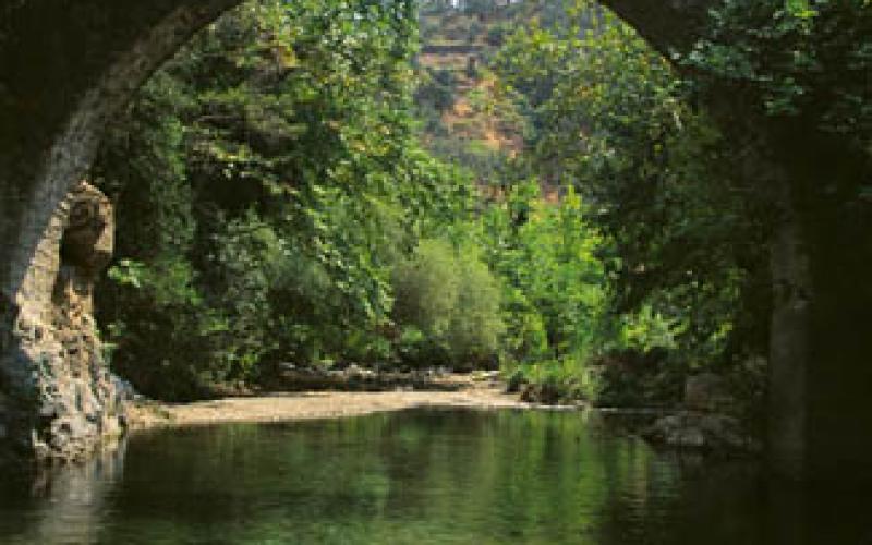صور.. جولة سياحية في تركيا