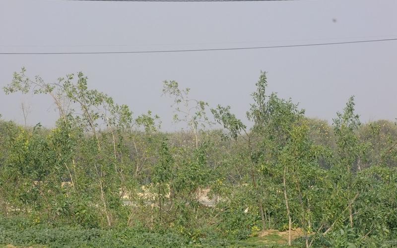 صور: جولة في أراضي المزارعين بالوسطى
