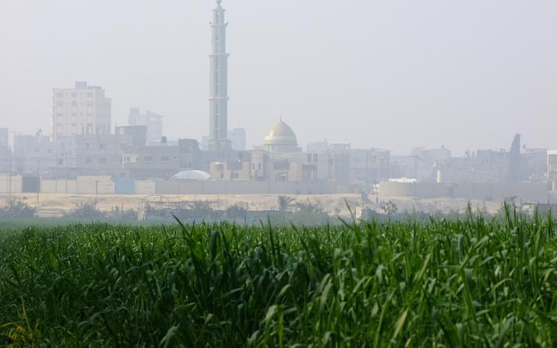 صور: جولة في أراضي المزارعين بالوسطى
