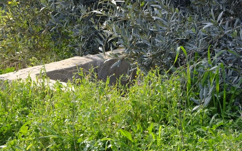 صور: جولة في أراضي المزارعين بالوسطى