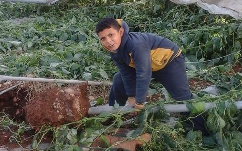 صور: الرياح تدمر بيوتًا بلاستيكية في "بردلة"