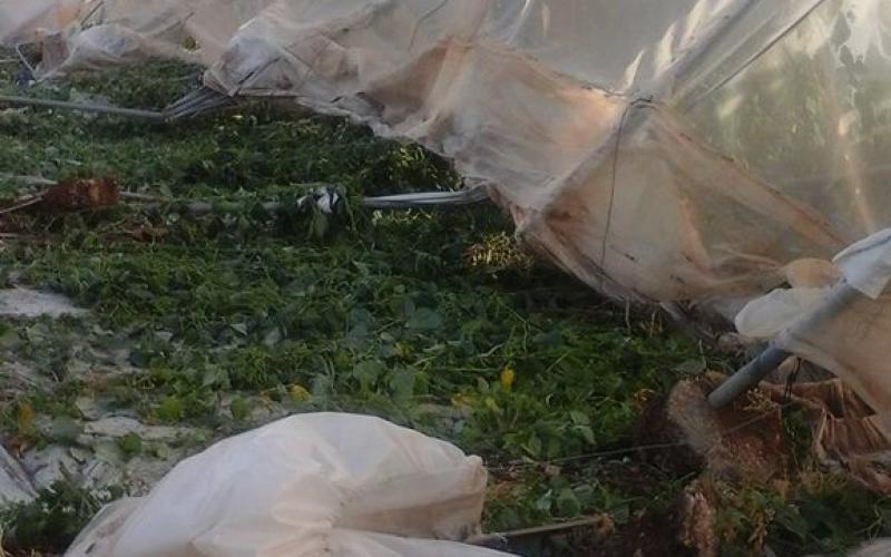 صور: الرياح تدمر بيوتًا بلاستيكية في "بردلة"