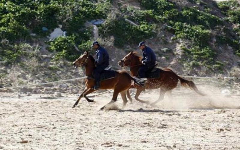 صور: وحدة الخيالة في شرطة غزة