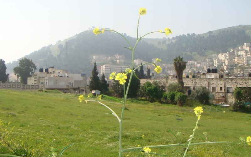 صور: جبال عيبال شمال نابلس