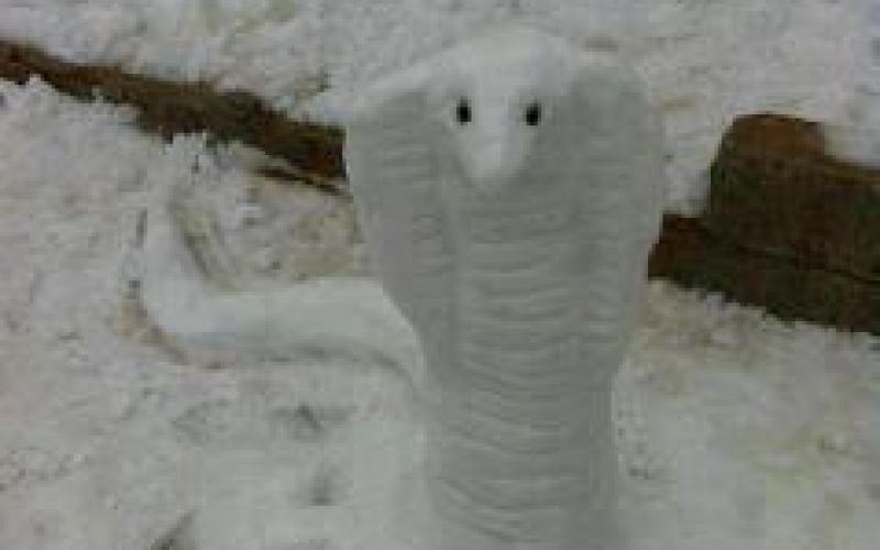 صور ... رجال الثلج بالخليل يطالبون بنقابة تمثلهم