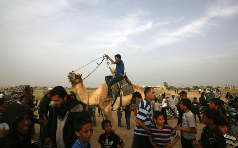 صور: سباق "الجمال" في رفح