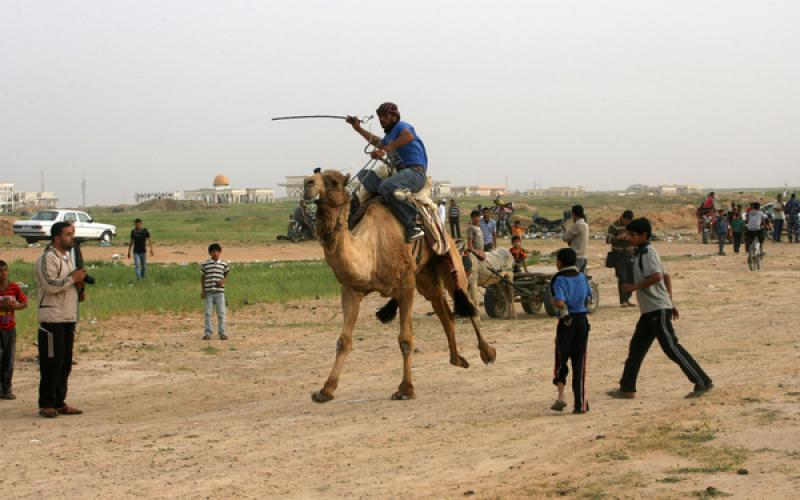 صور: سباق "الجمال" في رفح