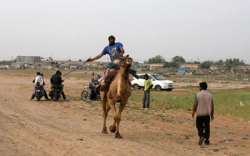 صور: سباق "الجمال" في رفح