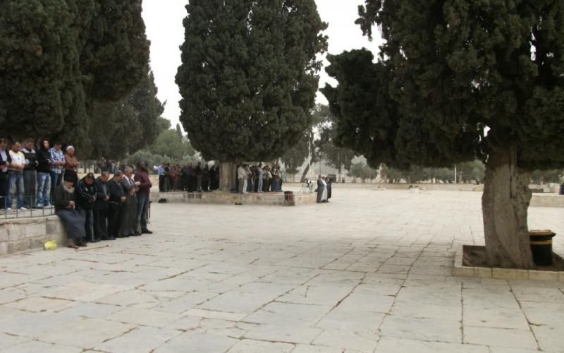 صور: مئات المقدسيين يؤدون الجمعة في شوارع القدس‎