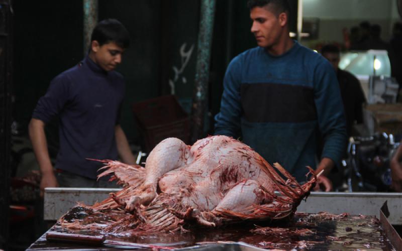 صور: اقبال ضعيف على شراء الديك الرومي بعد ارتفاع سعره
