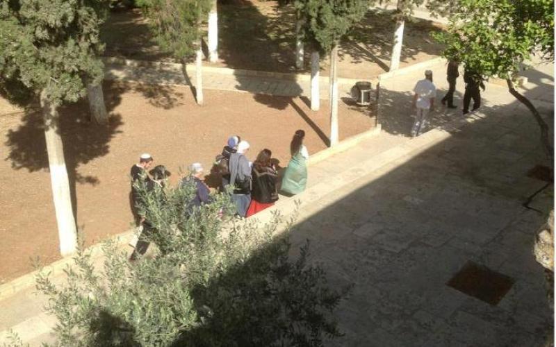 صور: اقتحام المستوطنون لباحات الأقصى