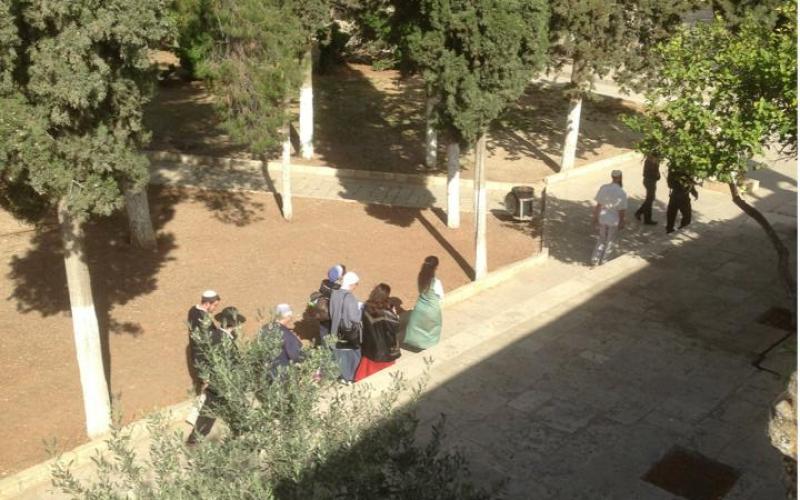 صور: اقتحام المستوطنون لباحات الأقصى